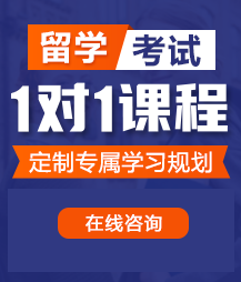 啊啊啊啊受不了了花蕊留学考试一对一精品课